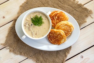 Fritters with mushroom sauce. Traditional Slavic pancakes with fat mushroom and flour sauce