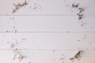 Tiny flowers forming circle wooden table. Resolution and high quality beautiful photo