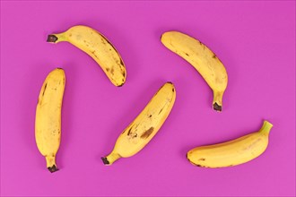 Small snack bananas on brigh purple background