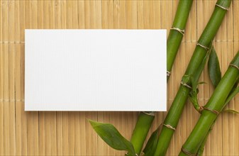 Modern copy space white business card bamboo