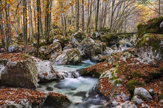 Autumn forest with watercourse of the Lepenjica