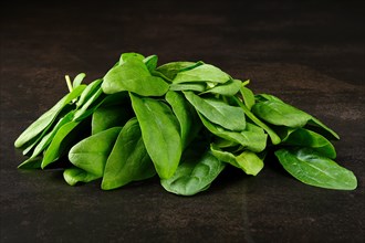 Leavews of fresh spinach on dark background