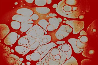 Colorful ebru or art of Marbling background on water surface