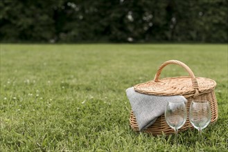 Picnic basket park grass
