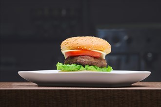 Fresh tasty burger on plate on wooden table