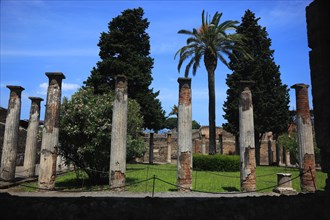 Columns at the House of the Labyrinth
