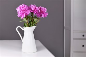 Pink bouquet of Chinese peony flowers in white vase on table in front of gray background