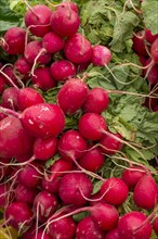 Market stall with radishes