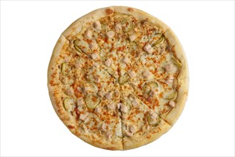 Fresh baked pizza with chicken fillet and pickled cucumber isolated on white