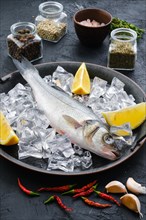 Raw seabass fish with spice and herbs on wooden background