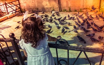 Little kid amid Lovely pigeon birds feed in an urban environment