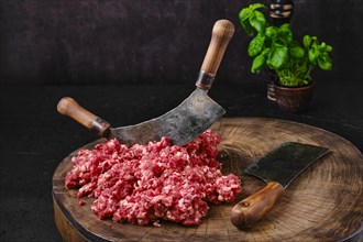 Fresh beef minced meat on wooden chopping stump