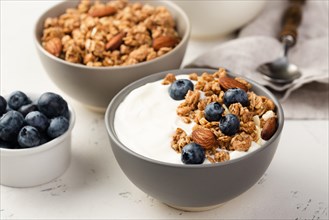 High angle bowls breakfast cereal with blueberries yogurt