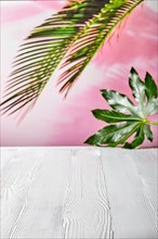 White wooden table top with overhanging leaves