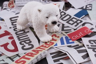 Polar bear on cut newspaper titles