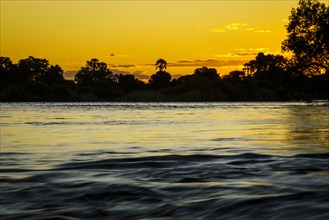 African evening at the Zambezi river with the brilliant colors of the sunset. Livingston