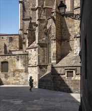 Rear of La Catedral de la Santa Creu in the Barri Gotic district