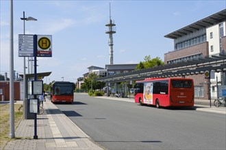 Buses at the ZOB