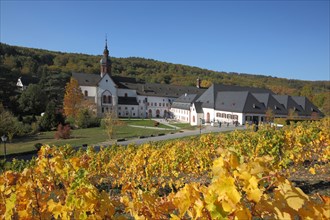 UNESCO Eberbach Monastery in the vines