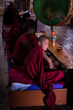 Monks during morning puja at Spituk Monastery