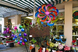 Flower shop in shopping street