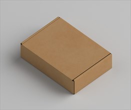 Brown copy space cardboard box