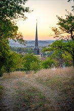 Church spire framed by nature in the countryside