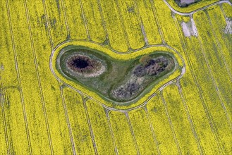Aerial photograph of a Soll in a rape field