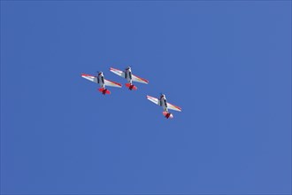 North American T-6 Texan airplanes demonstration flight