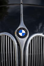 Close-up of a BMW classic car with company logo