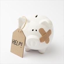 Broken piggy bank asking help