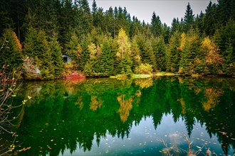 The river "Weisse Sehma" forms a small pond in the middle of the spruce forest in the Ore Mountains below the Fichtelberg