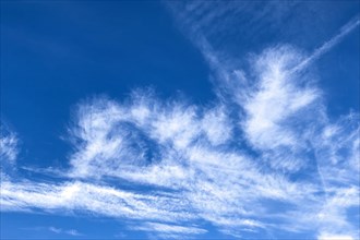 Blue sky with Cirrocumulus cluster clouds in the middle and Cirrus feather clouds in the upper right