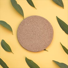 Blank circular cork surrounded with green leaves yellow background
