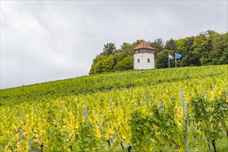 The medieval St Mark's Tower in the Markusberg vineyard is a symbol of Schengen