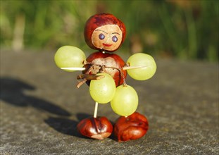 Chestnut figure with grapes in the evening light