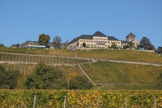 Johannisberg Castle and Landscape with Vineyards Wine Growing Area