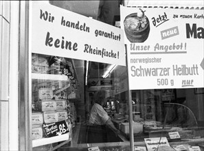Photos and events from the Ruhr area in the years 1965 to 1971. Fish shop after Rhine poisoning