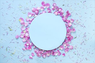Blue background decorated with fresh flower petals