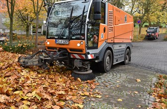 Sweeper sweeps up wilted leaves in autumn