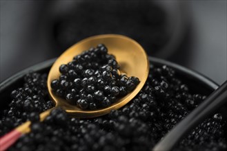 Black caviar golden spoon