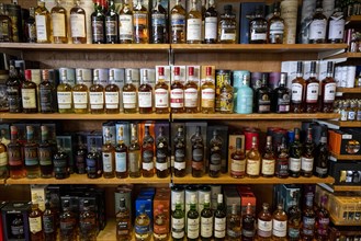 Various whisky bottles on a shelf