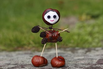 Chestnut figure carrying black alder cones