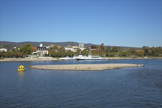 Sandbank in the Rhine at low water