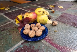Walnuts on a blue ceramic plate with Boskop apples and Autumnal leaves behind them. Coburg