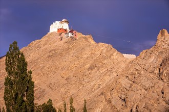 Namgyal Tsemo Gompa
