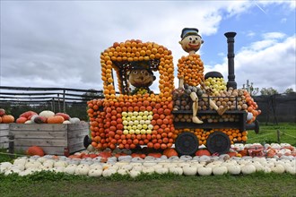 Figure Locomotive Pumpkins