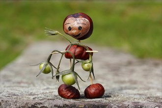 Cute chestnut figure with small tomatoes on wall