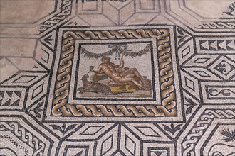 Domus dell'Ortaglia mosaics