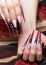 Long beautiful manicure on the fingers in black and red colors with a spider. Nails design. Picture taken in the studio on a white background